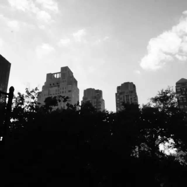 Dark treeline with towers rising behind, Central Park