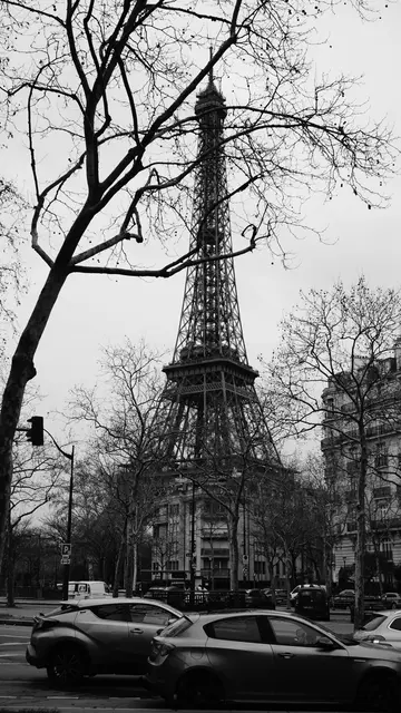 The Eiffel Tower framed by bare winter branches