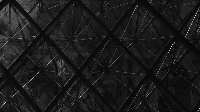 Close-up of the Louvre pyramid lattice and cables