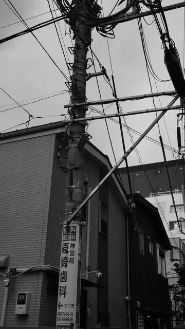 Utility pole with a dentist sign, Jingumae backstreet