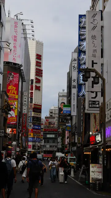 Kabukicho canyon of signs at dusk